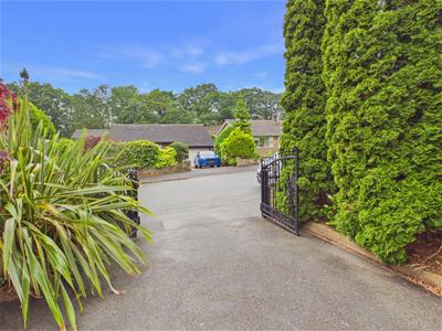 Picture 41